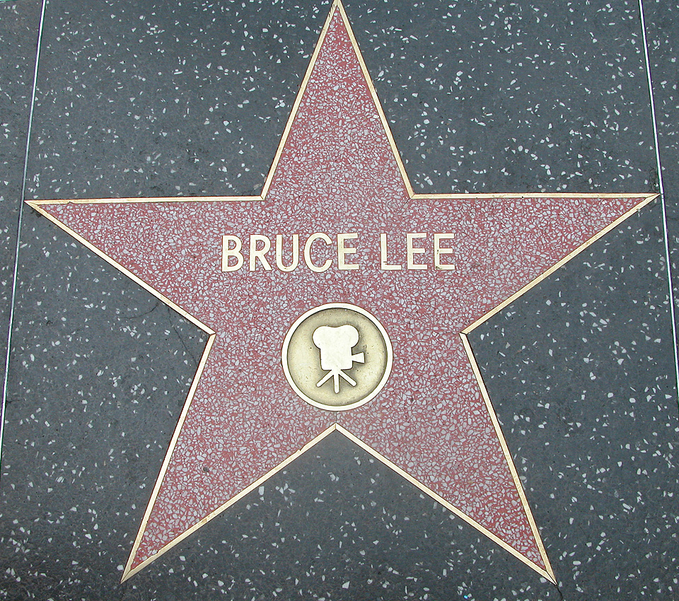 Bruce Jun Fan Lee